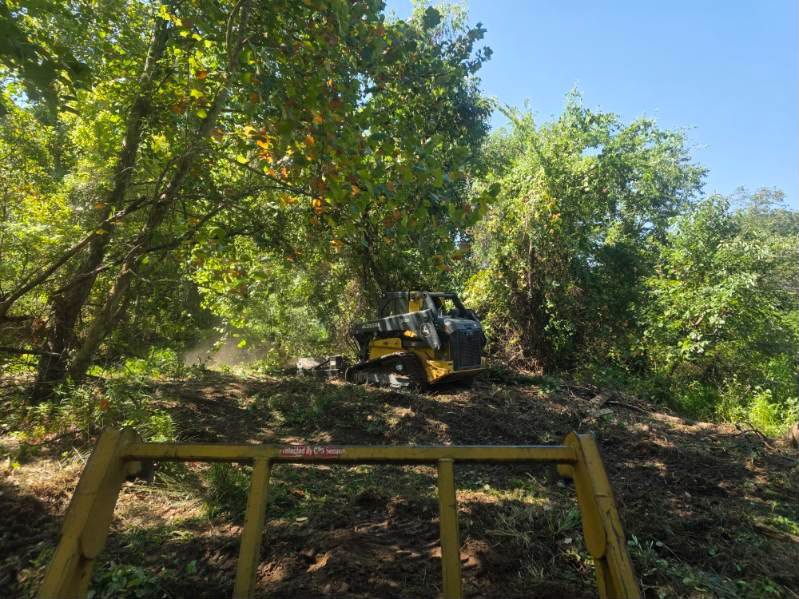 Track loader clearing brush under trees